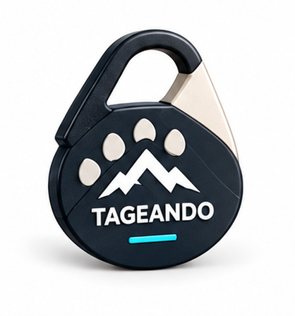 Compañero de aventura · TAGEANDO