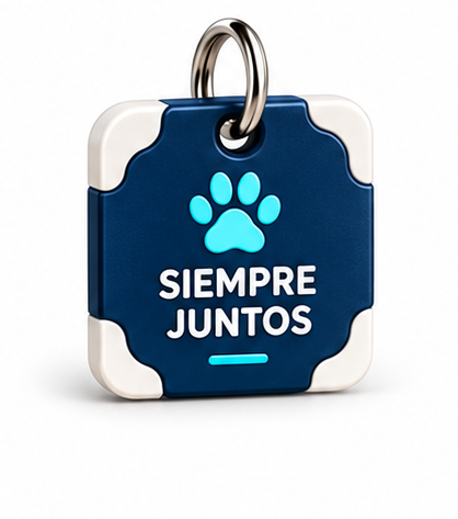 Siempre juntos · TAGEANDO